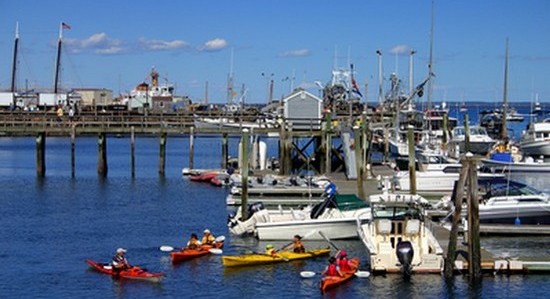 Rockland Harbor Boats